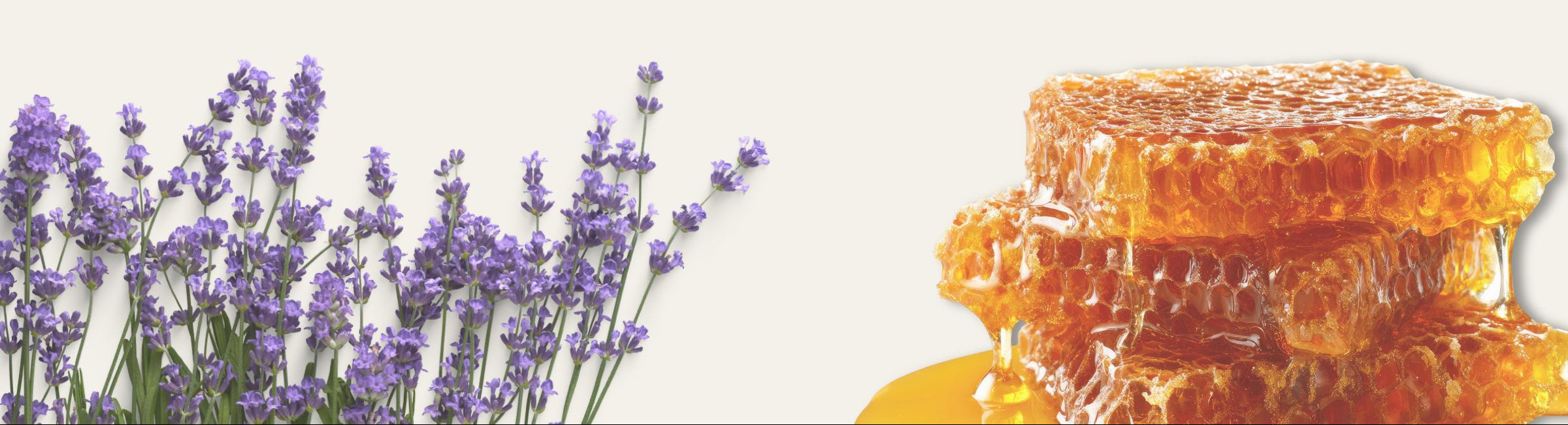 Honeycomb with honey and lavender flowers on a light background